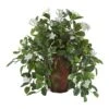 17" Stephanotis & Ivy Plant In Decorative Planter 2 17" Stephanotis & Ivy Plant In Decorative Planter -Michaels D350390S 1