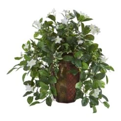 17" Stephanotis & Ivy Plant In Decorative Planter