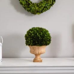 12in. Boxwood Topiary Ball In Decorative Urn 10 12in. Boxwood Topiary Ball In Decorative Urn -Michaels D350409S 13