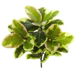 Green Rubber Leaf Plant, 3ct. -Michaels D350416S 3