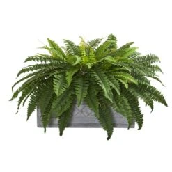 2.5ft. Boston Fern Plant In Stone Planter -Michaels D350456S 11 1