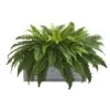 2.5ft. Boston Fern Plant In Stone Planter -Michaels D350456S 11