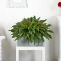 2.5ft. Boston Fern Plant In Stone Planter -Michaels D350456S 12