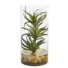 12" Air Plant In Glass Vase 2 12" Air Plant In Glass Vase -Michaels D350457S 1