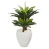 3ft. Double Agave Succulent Plant In White Planter
