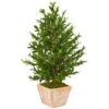 3ft. UV Resistant Olive Cone Topiary Tree In Terra Cotta Planter -Michaels D350475S 11