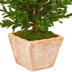 3ft. UV Resistant Olive Cone Topiary Tree In Terra Cotta Planter -Michaels D350475S 13
