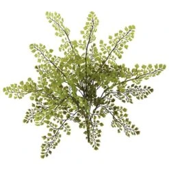 Maiden Hair Fern Spray, 12ct. -Michaels D350481S 2