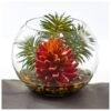6" Mixed Succulent In Round Vase -Michaels D350526S 1