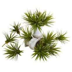 Spiky Agave Succulent Pick, 12ct.