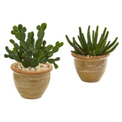 11" Cactus Succulent In Ceramic Vase Set