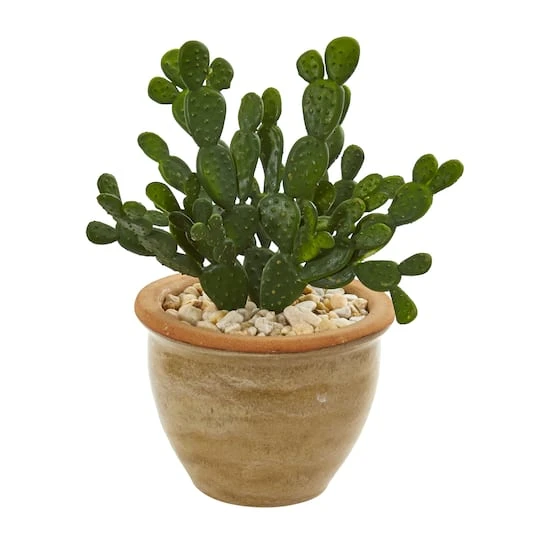 11" Cactus Succulent In Ceramic Vase Set 5 11" Cactus Succulent In Ceramic Vase Set - Image 3