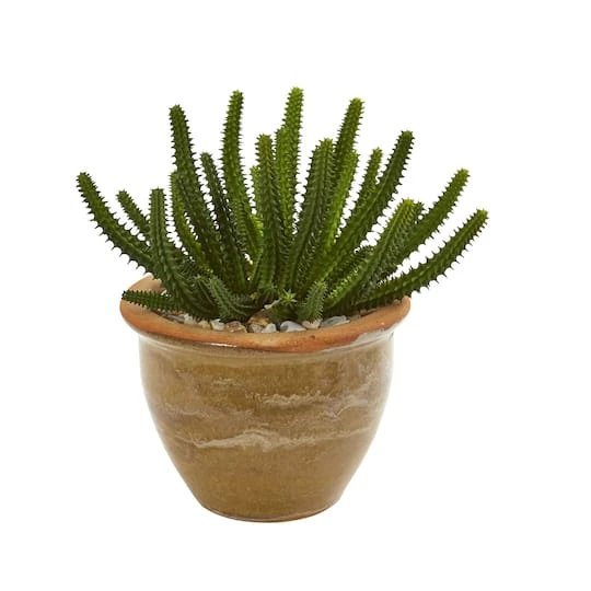 11" Cactus Succulent In Ceramic Vase Set 6 11" Cactus Succulent In Ceramic Vase Set - Image 4