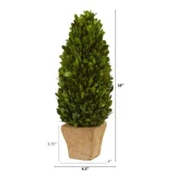16in. Boxwood Cone In Tan Planter -Michaels D350653S 2