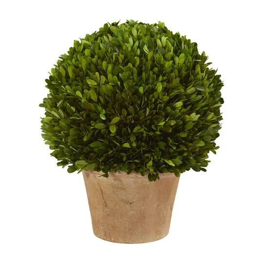 15'' Boxwood Ball Preserved Plant In Brown Planter 4 15'' Boxwood Ball Preserved Plant In Brown Planter - Image 2