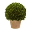15'' Boxwood Ball Preserved Plant In Brown Planter -Michaels D350710S 11