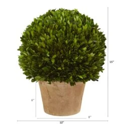 15'' Boxwood Ball Preserved Plant In Brown Planter 8 15'' Boxwood Ball Preserved Plant In Brown Planter -Michaels D350710S 12