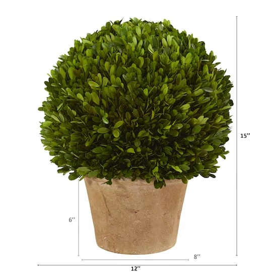 15'' Boxwood Ball Preserved Plant In Brown Planter 5 15'' Boxwood Ball Preserved Plant In Brown Planter - Image 3