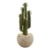 2.5ft. Cactus In Bowl Planter 2 2.5ft. Cactus In Bowl Planter -Michaels D350775S 11
