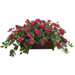 18" Bougainvillea In Decorative Planter