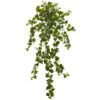 Curly Ivy Hanging Plant, 3ct. 1 Curly Ivy Hanging Plant, 3ct. -Michaels D350807S 1