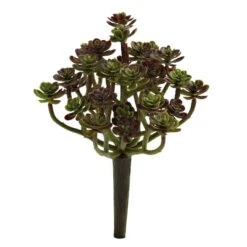 Sedum Succulent Plant, 8ct. -Michaels D350942S 1 1