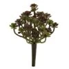 Sedum Succulent Plant, 8ct. -Michaels D350942S 1