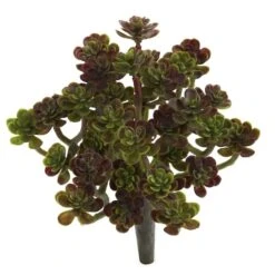 Sedum Succulent Plant, 8ct. -Michaels D350942S 2