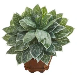 18" Chinese Evergreen Plant In Decorative Planter -Michaels D351000S 1 1