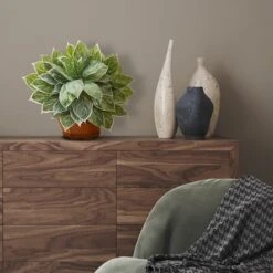 18" Chinese Evergreen Plant In Decorative Planter -Michaels D351000S 3