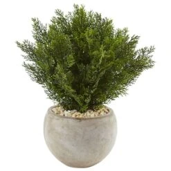 2ft. Cedar Plant In Sand Colored Bowl 6 2ft. Cedar Plant In Sand Colored Bowl -Michaels D351010S 1 1