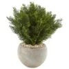 2ft. Cedar Plant In Sand Colored Bowl -Michaels D351010S 1