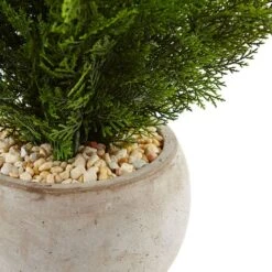 2ft. Cedar Plant In Sand Colored Bowl 7 2ft. Cedar Plant In Sand Colored Bowl -Michaels D351010S 2