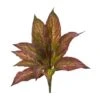 Musa Leaf Bush Plant, 12ct. -Michaels D351015S 1