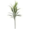 2.25ft. Vanilla Grass Plant, 24ct.
