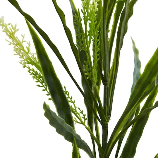 2.25ft. Vanilla Grass Plant, 24ct. 5 2.25ft. Vanilla Grass Plant, 24ct. - Image 3
