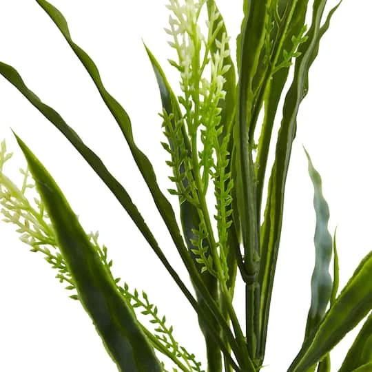 2.25ft. Vanilla Grass Plant, 24ct. 6 2.25ft. Vanilla Grass Plant, 24ct. - Image 4