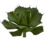Green Succulent Pick, 2ct. -Michaels D351217S 1