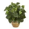 14" Pothos Plant In Ceramic Planter 2 14" Pothos Plant In Ceramic Planter -Michaels D351341S 1