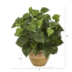 14" Pothos Plant In Ceramic Planter -Michaels D351341S 2
