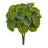 Green Peperomia Pick, 6ct. -Michaels D351343S 1
