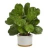 15" Fiddle Leaf Tree In White Planter -Michaels D351351S 1