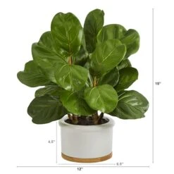15" Fiddle Leaf Tree In White Planter -Michaels D351351S 2