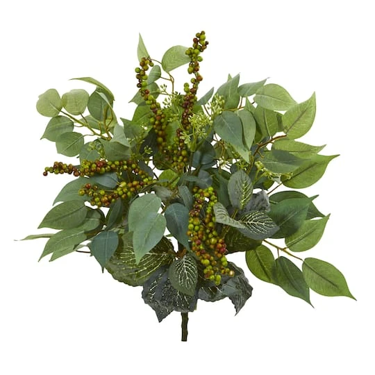 Green Mixed Ficus, Fittonia & Berries Bush, 6ct. 3 Green Mixed Ficus, Fittonia & Berries Bush, 6ct.