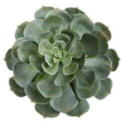 Green Giant Echeveria Succulent Pick, 2ct. -Michaels D352150S 2