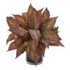 17" Burgundy Musa In Glossy Black Vase -Michaels D352184S 1