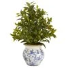 28" Coffee Leaf Artificial Plant In Vintage Floral Planter (Real Touch) 2 28" Coffee Leaf Artificial Plant In Vintage Floral Planter (Real Touch) -Michaels D352398S 1