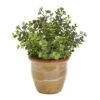 10" Eucalyptus & Sedum Succulent Plant In Ceramic Planter -Michaels D352406S 1