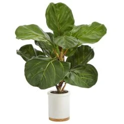 21" Fiddle Leaf Tree In White Ceramic Planter 7 21" Fiddle Leaf Tree In White Ceramic Planter -Michaels D352543S 1 1
