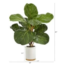 21" Fiddle Leaf Tree In White Ceramic Planter 8 21" Fiddle Leaf Tree In White Ceramic Planter -Michaels D352543S 2